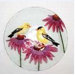 Bird Bath Finches on Glass
