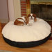 Round Pet Bed with Sherpa Top