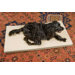 Rectangular Crate Mat with Foam Filling