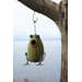 Toad Bird House