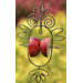 Fruit Spear Owl Feeder