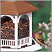 Large Gazebo Bird Feeder