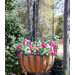 Barrington Hanging Basket