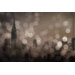 NY Sleeping Wall Art