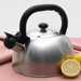 Satin Mist 2.6-qt. Whistle Tea Kettle