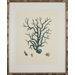 Turquoise Coral I Art