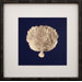 Gold Leaf Coral II Art