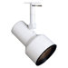 PAR 20 Step Cylinder Track Light