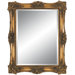 Antique Beauty Wall Mirror in Antique Gold