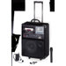 Pro Audio 100 Watt Wireless P.A. System