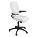 InCite Mid Back Executive Chair