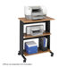 Mobile Machine Cart, 3-Shelf