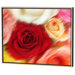 Roses Limited Edition Framed Canvas - Scott J. Menaul