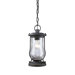 Farmstead One Light Outdoor Hanging Lantern in Matte Black