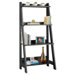 Alamosa Ladder Bookcase in Classic Black