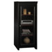 Stanford Audio Cabinet