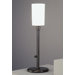 Rico Espinet Nina Torchiere Table Lamp in Deep Patina Bronze