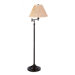Kinetic Swing Arm Floor Lamp in Deep Patina Bronze