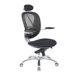 Ergonomic Mesh Task Chair