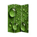 Rain Screen