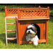 Room with a View Dog House