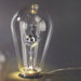 Edison Lamp