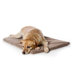 Small Memory Foam Dog Bed