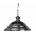1 Light Pendant