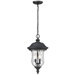 Armstrong 2 Light Outdoor Pendant