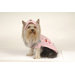 Garden Dog Sweater with Hat