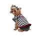 Striped Lady Bug Dog Dress