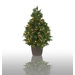 Prelit Potted Incense Cedar Tree