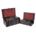 "Prince" Leather Trunk, Designer Treasure Chest