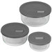 No Leak Lids Six Piece Value Pack Storage Vessels Set with Plastic Lids