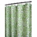Rococo Scroll Shower Curtain in Green