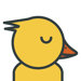 Animals Duck Print