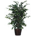 Bushes 4' Artificial Potted Natural Ficus Tree in Dark Green