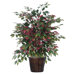 Deluxe 4' Artificial Potted Natural Capensia Tree in Green and Red