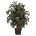 Deluxe 4' Artificial Potted Natural Sakaki Tree in Dark Green