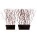 Floral Birch Window Box (Set of 2)