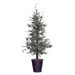 Cedar with Cones Feathered Pine Deluxe Tree