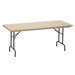 Standard Plastic Folding Table