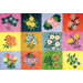 Supreme Bonicals Kids Rug