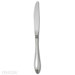 Stainless Steel Sheraton Place Knife