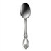 Stainless Steel Louisiana Place Spoon