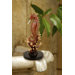 Medium Seahorse with Coral Sculpture