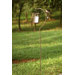 Bird Lantern Stake