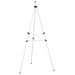 Raleigh Display and Paint Easel