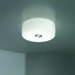 Bisquit PL1 Ceiling