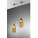 Ombre Suspension Light